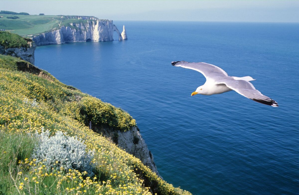 casino étretat rouvre lire horaires après